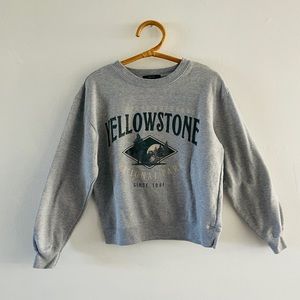 Forever21 Gray graphic sweater.